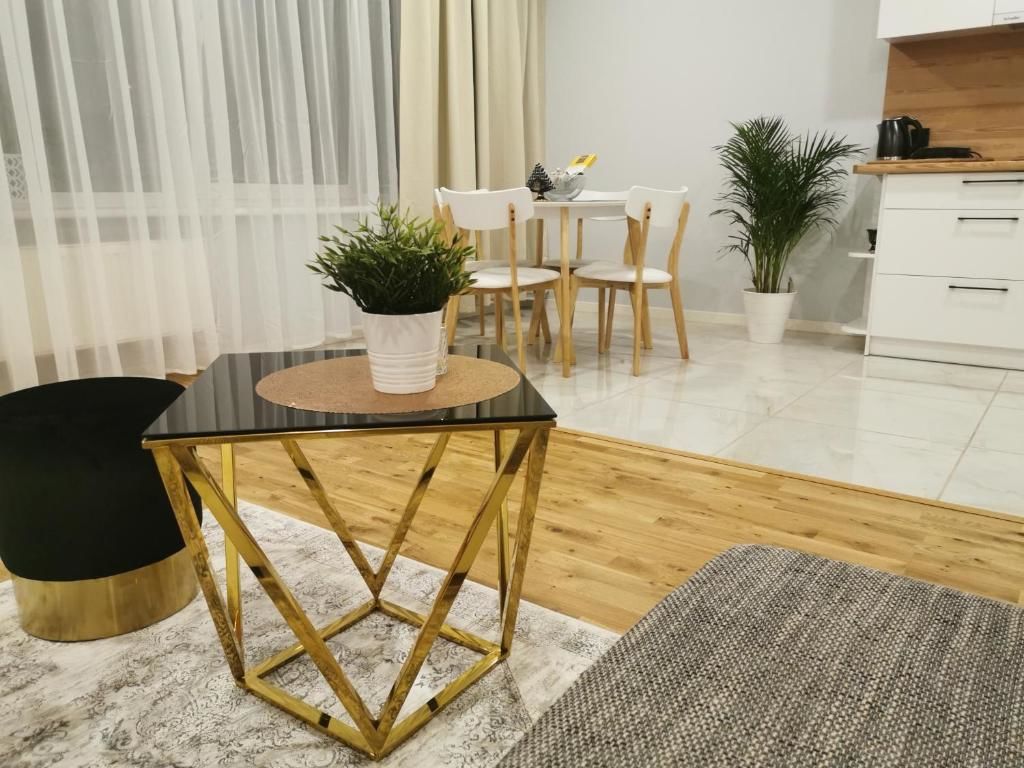 Апартаменты OPERA apartments Елгава